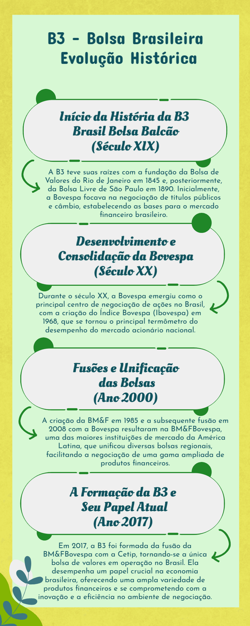 Infography B3 - Você Conhece a Bolsa Brasileira? Saiba O Que É e Como Funciona?