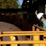 acoes-e-fundos-mais-negociados-na-b-em--descubra-o-que-movimentou-o-mercado-no-primeiro-semestr