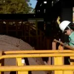 acoes-e-fundos-mais-negociados-na-b-em--descubra-o-que-movimentou-o-mercado-no-primeiro-semestr