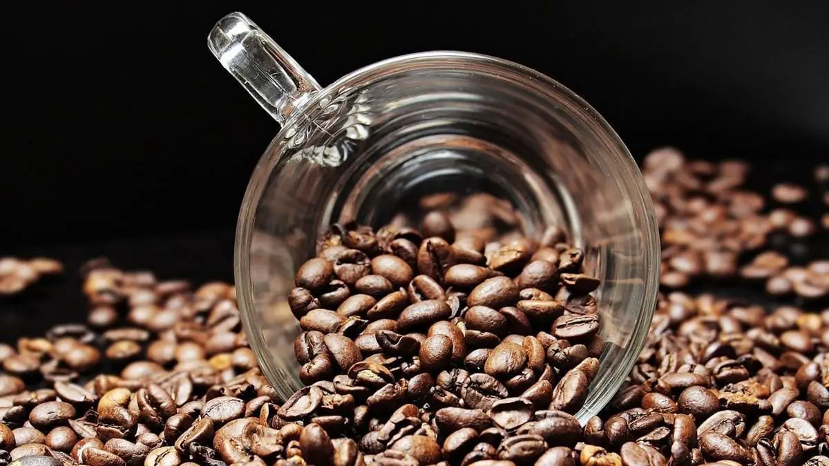 cafe-registra-primeira-queda-de-preco-apos--meses-de-alta-mas-ainda-acumula-aumento-significativo